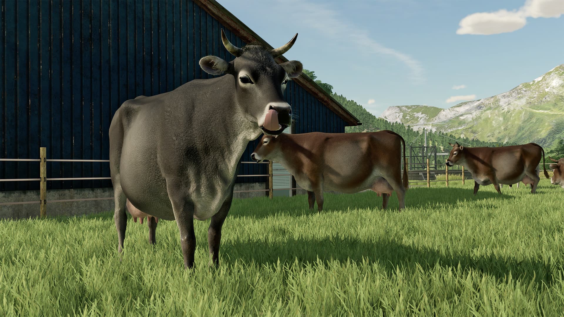 Farming Simulator 22 - Standard (Steam/Global)