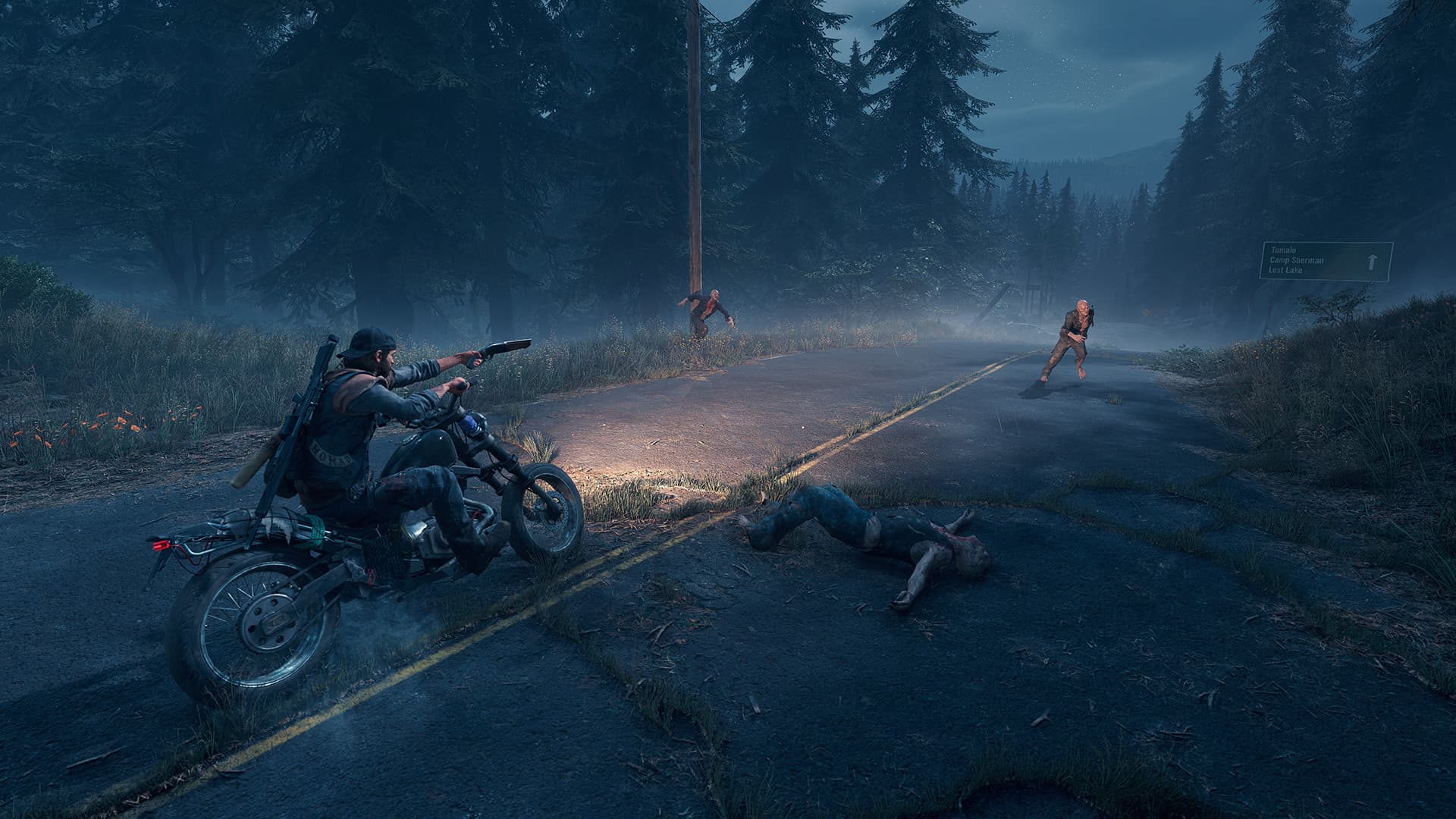 Days Gone - Standard (Steam/Global)